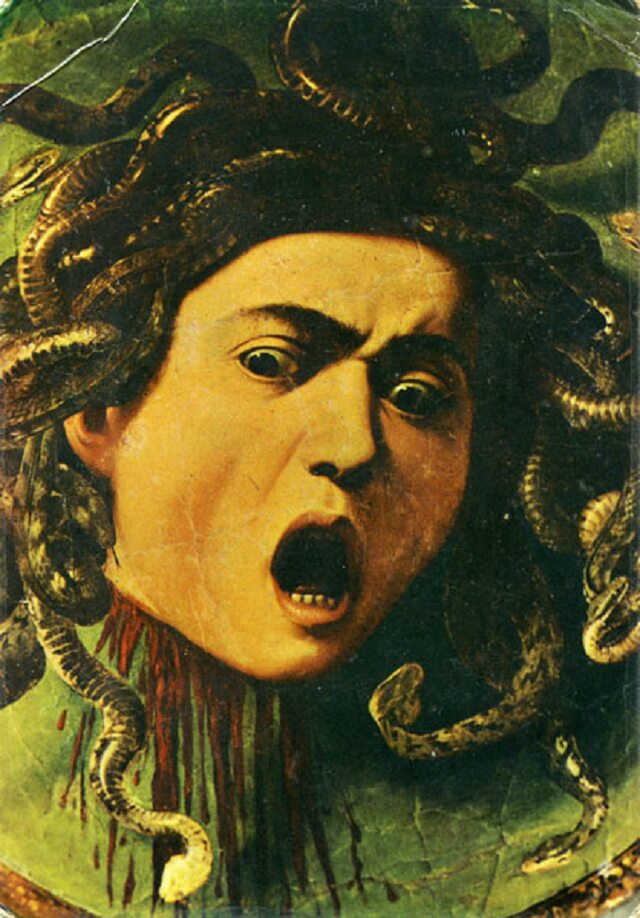 Medusa Head