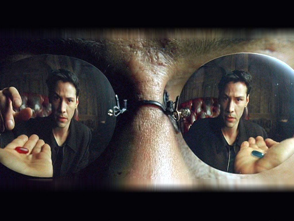 Take the Orange Pill Exegesis