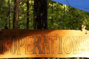 Cooperative Interdependence