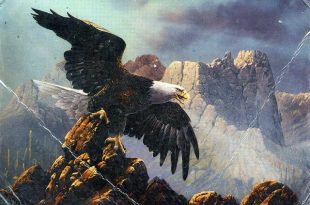 Eagle Stance