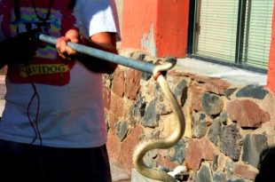 Keeping your Distance