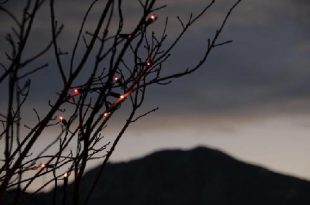 Lights Through the Veil of Darkness