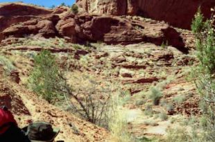 Pathfinding and Day-Mapping