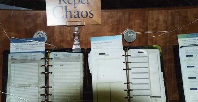 Repel Chaos with Ego Control