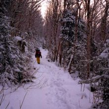 Winter Pathways