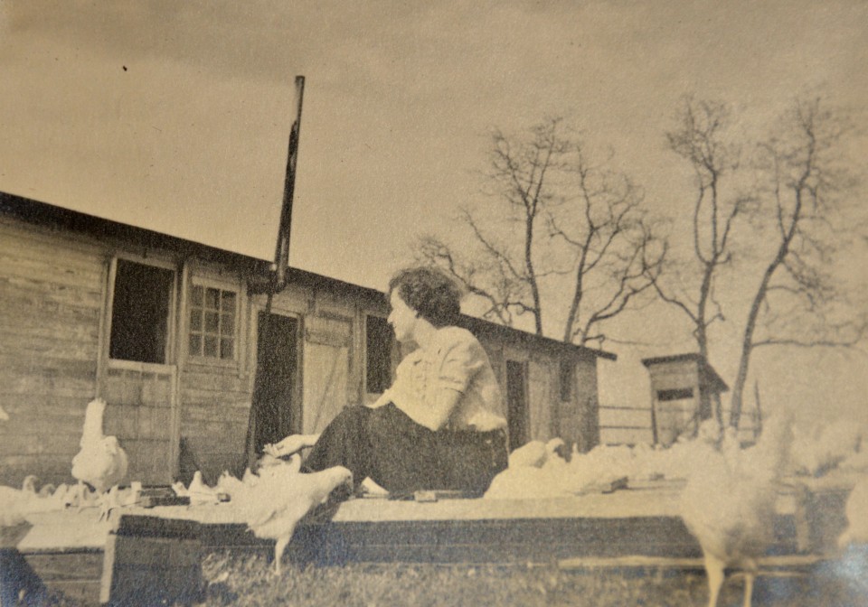 My mom in front of one of the chicken houses at her parent's 10 acre farm in the Pine Barrens of South Jersey. 